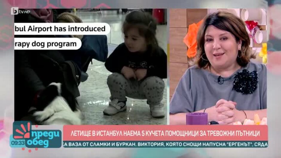 Днес всички говорят за... кучетата на летището в Истанбул, които помагат на хората да не се страхуват да летят