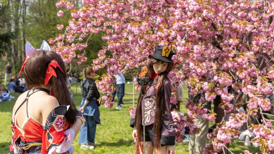 Японско "съкровище" в Букурещ - цял свят се втурна натам! (СНИМКИ)