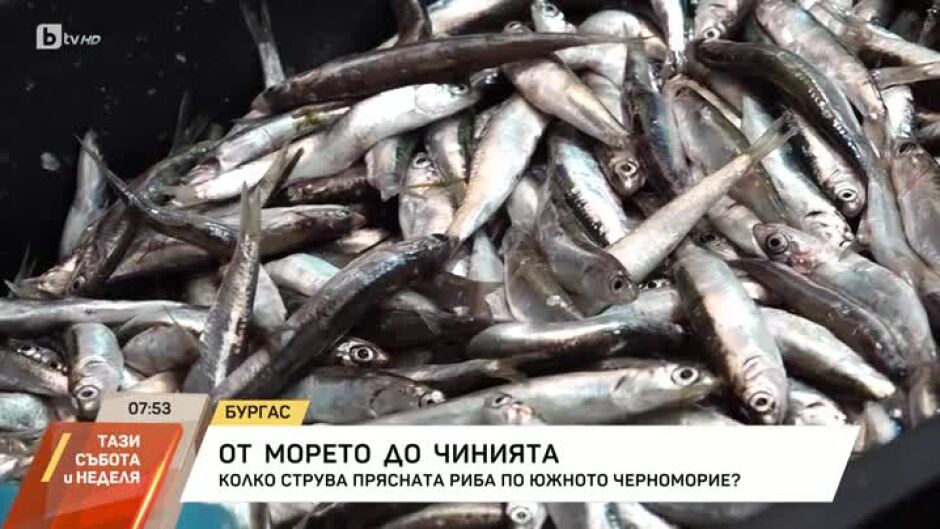 От морето до чинията