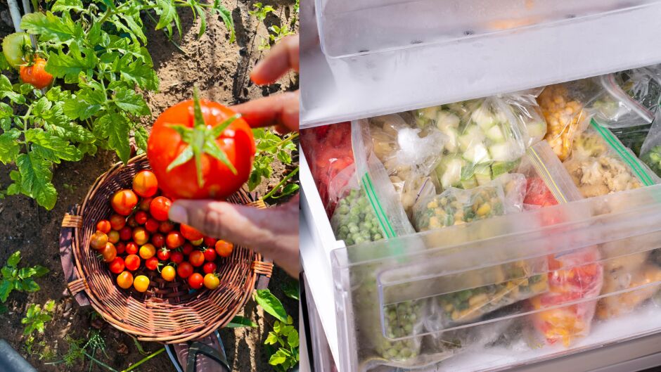 Как да замразите правилно домати, без да се промени вкуса им и да станат воднисти