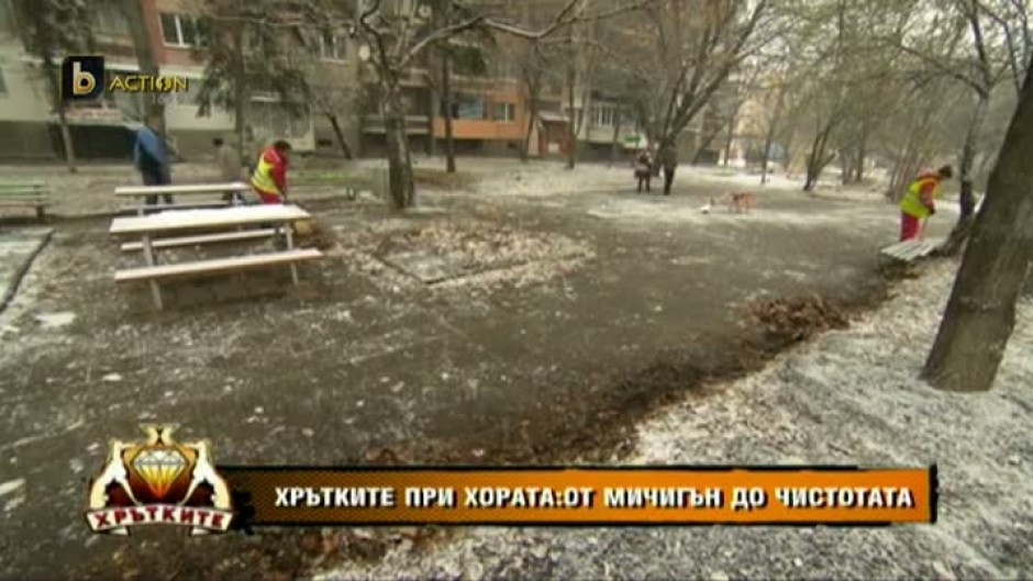 Хрътките при хората: От САЩ до София