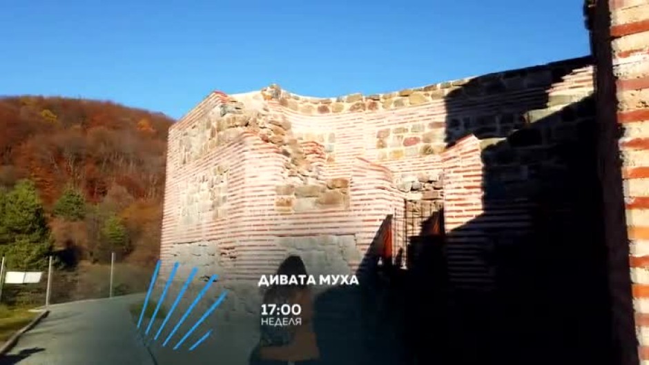 Бъдете с "Дивата муха" тази неделя от 17:00 ч по bTV Action