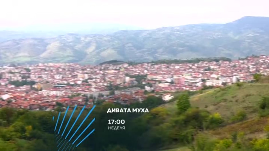 Гледайте "Дивата муха" в неделя от 17 ч. по bTV Action