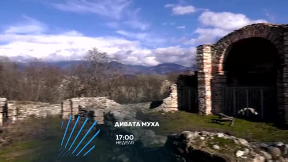 Гледайте "Дивата муха" в неделя от 17 ч. по bTV Action
