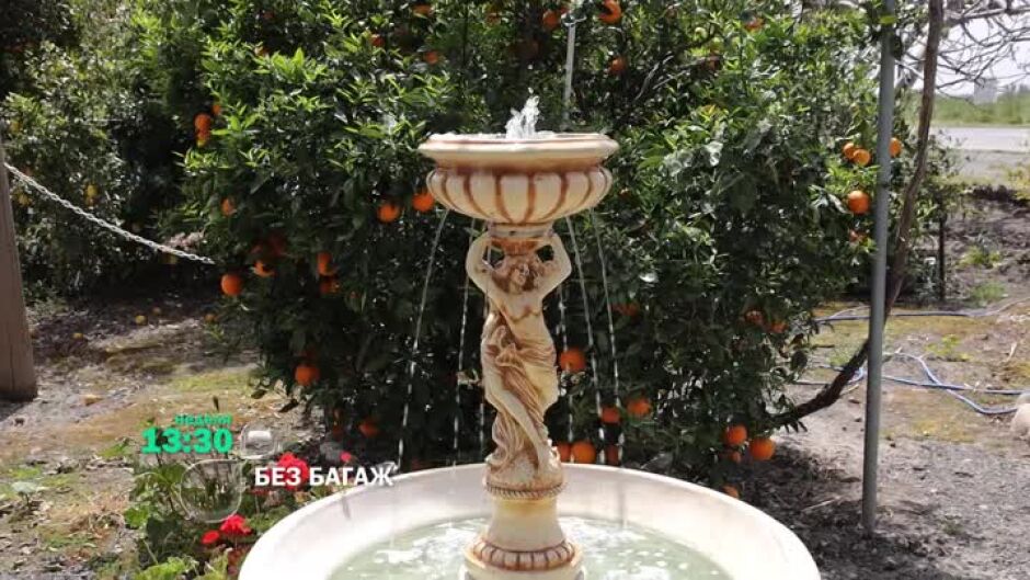 Тази седмица в "Без багаж" ще видите...