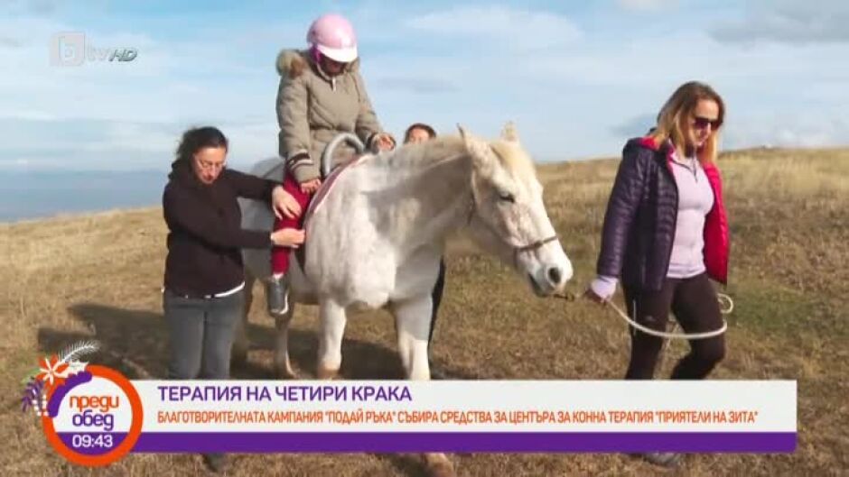 Терапия на четири крака