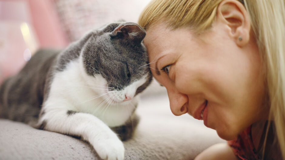 17 неща, които котките не понасят (ВИДЕО)