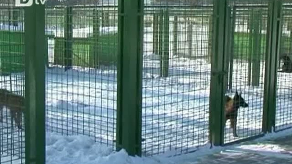Обучение на граничарски кучета