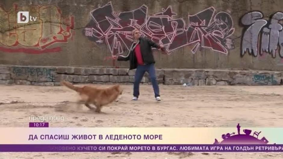 Мъж скочи в леденото море, за да спаси кучето си