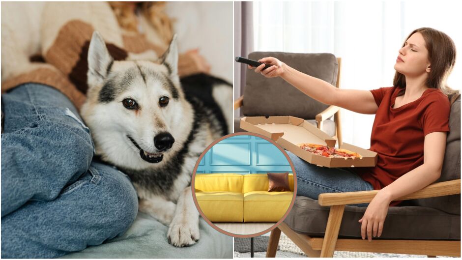 Как да премахнем миризмите от дивана лесно и бързо? (СНИМКИ)