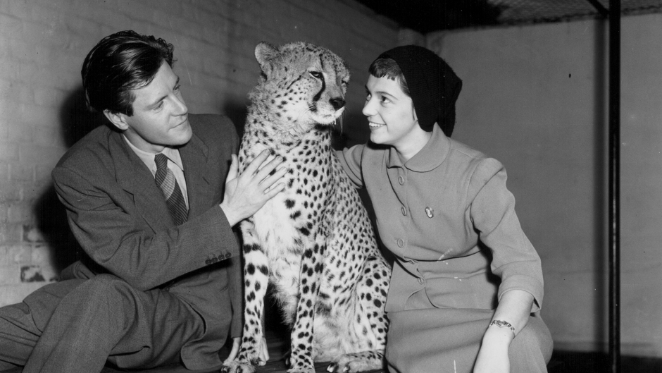 Джералд Даръл ~ Къщата не е дом, преди в нея да има куче (СНИМКИ + ВИДЕО)