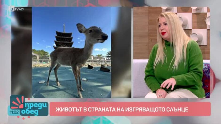Пътешествия из Малайзия