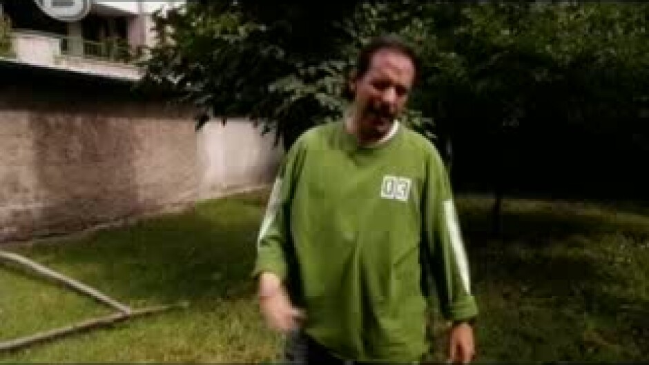 Стая за тъщата