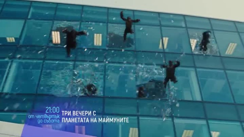 Три вечери с Планетата на маймуните