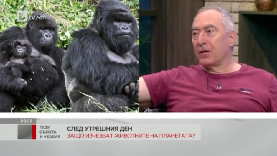 Защо изчезват животните на планетата?