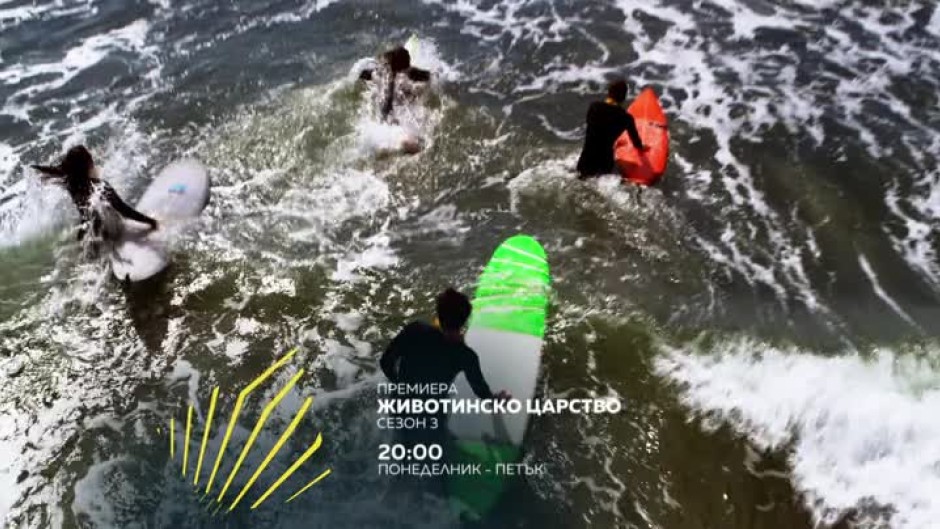 Животинско царство, сезон 3 - всеки делник от 20:00 часа по bTV Action