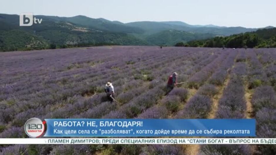 Специален репортаж: Работа? Не, благодаря!