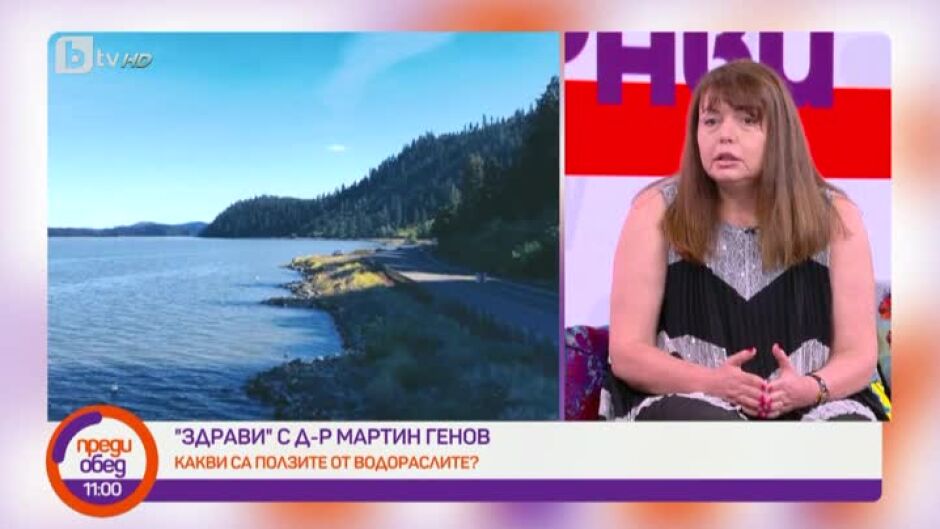 "Здрави" с д-р Мартин Генов: Какви са ползите от синьо-зелените водорасли АФА?