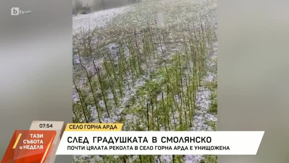 Градушка с големина на орех унищожи реколтата в село Горна Арда