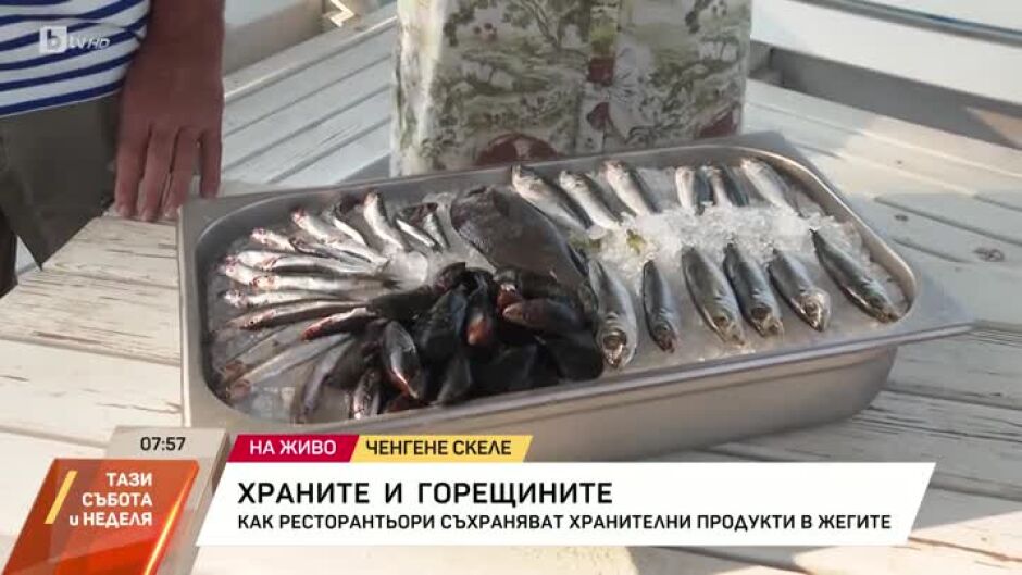 Как ресторантьори съхраняват рибата в жегата?