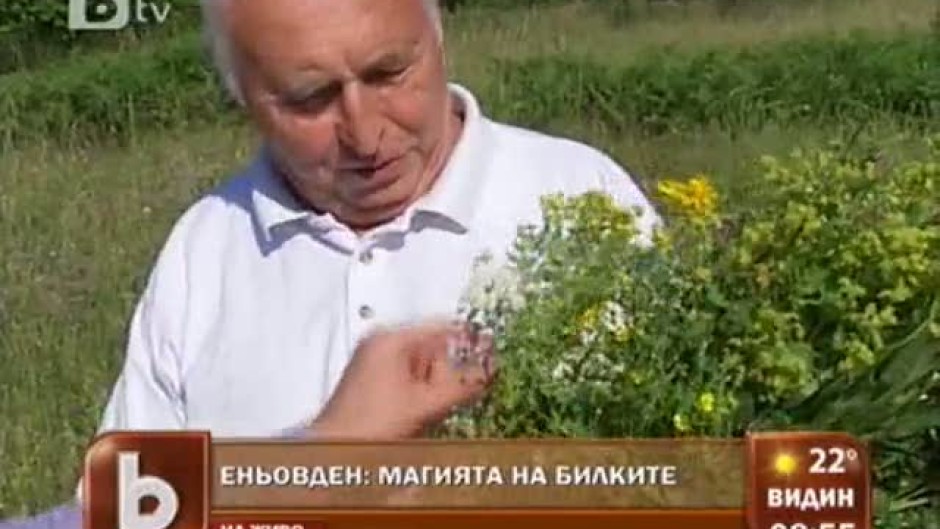 Еньовден: магията на билките