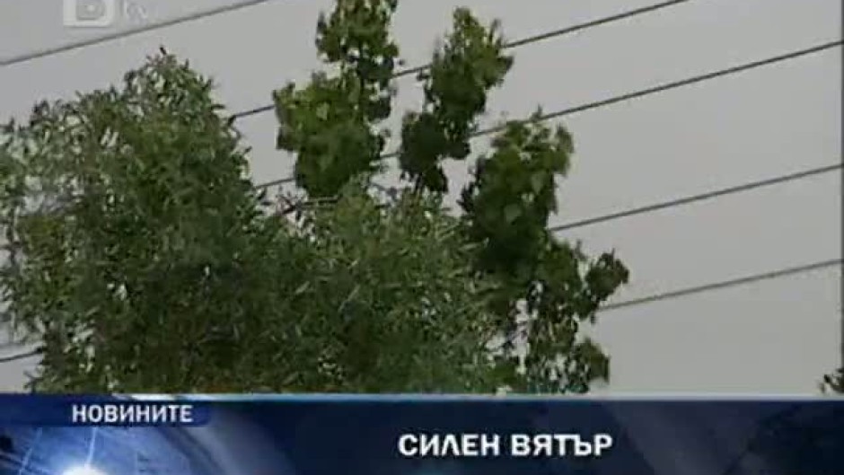 bTV Новините - Обедна емисия - 25.06.2011 г.