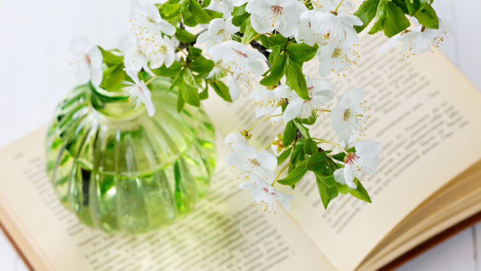 Какво е общото между книгите, кухненската маса и четките за грим?