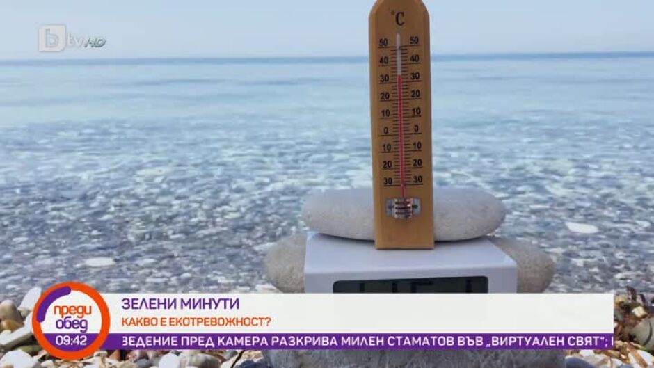 "Зелени минути": Какво е екотревожност?