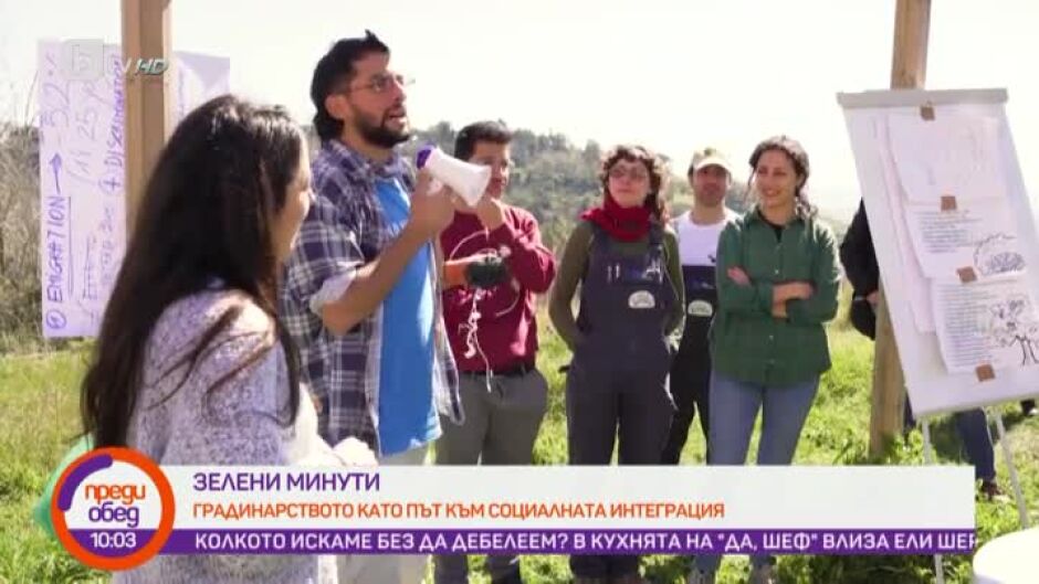 "Зелени минути" от Брюксел: Как балкони и покриви се раззеленяват