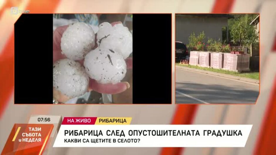 Какви са щетите в Рибарица след градушката?