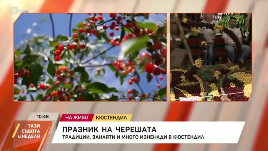 Празник на черешата