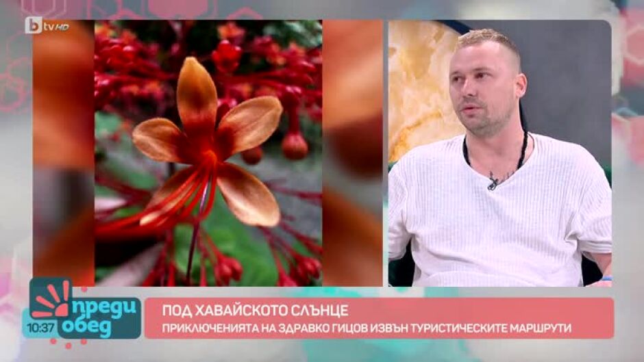Приключенията на Здравко Гицов извън туристическите маршрути
