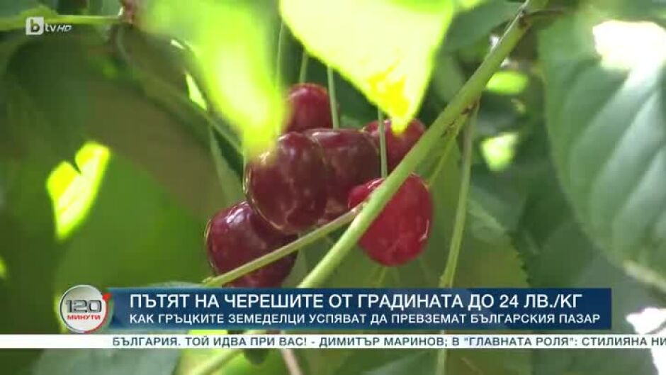 Пътят на черешите