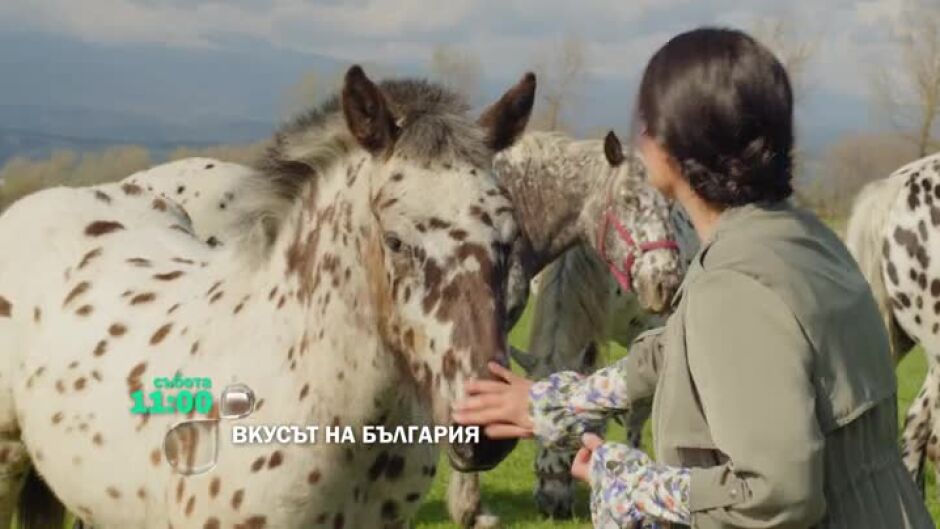 "Вкусът на България" събота от 11 ч. по bTV