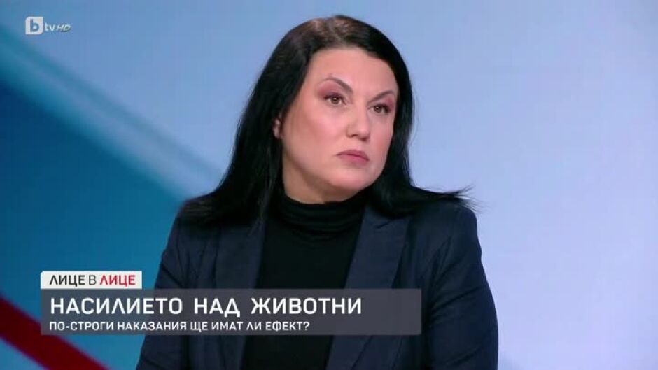 Адвокат Мариета Караджова за по-строгите наказания за насилниците на животни