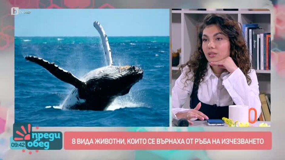Говорим за... животни, които се върнаха от ръба на изчезването