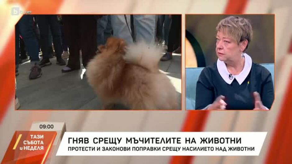 Гняв срещу мъчителите на животни