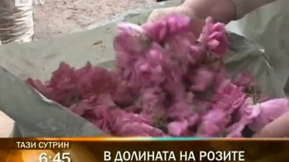Понеделник сутрин в "Тази сутрин”