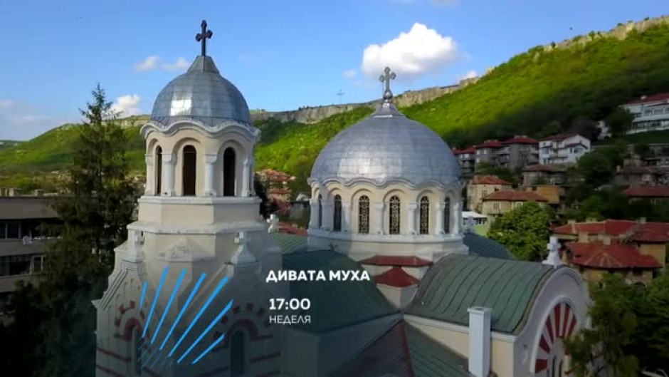 "Дивата муха" на пътешествие до Провадия - тази неделя от 17 часа по bTV Action
