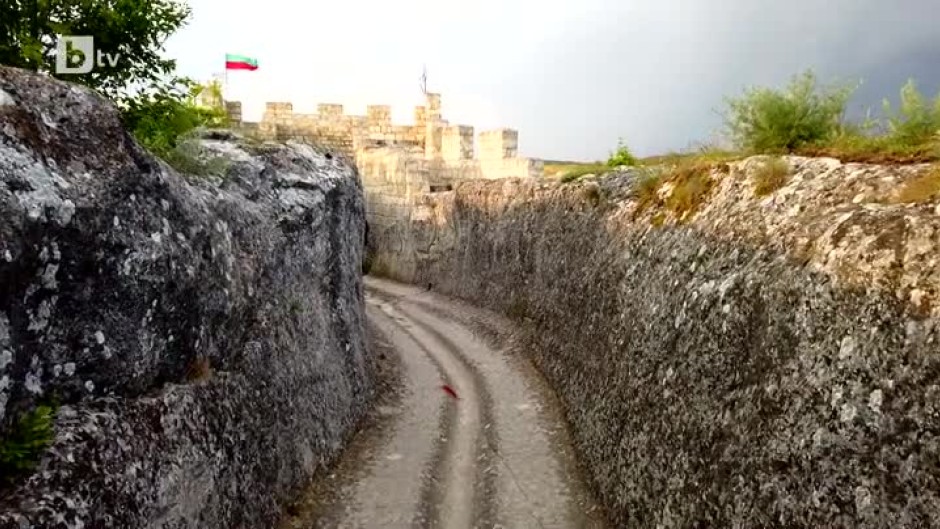 "Дивата муха" на пътешествие до Провадия (1 част)