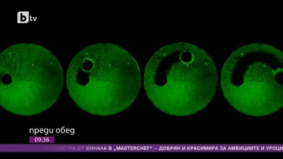 Днес всички говорят за... роботчетата, които чистят плака от зъбите
