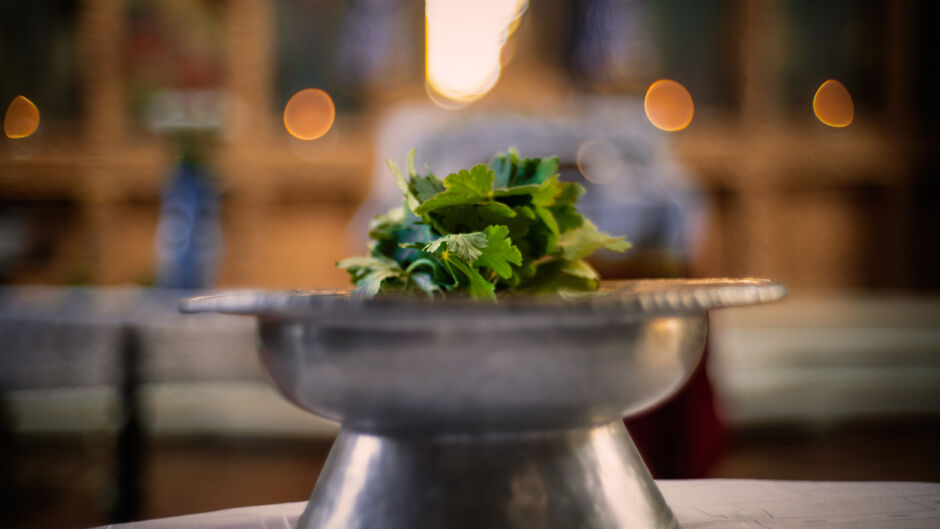 27 януари: Имен ден