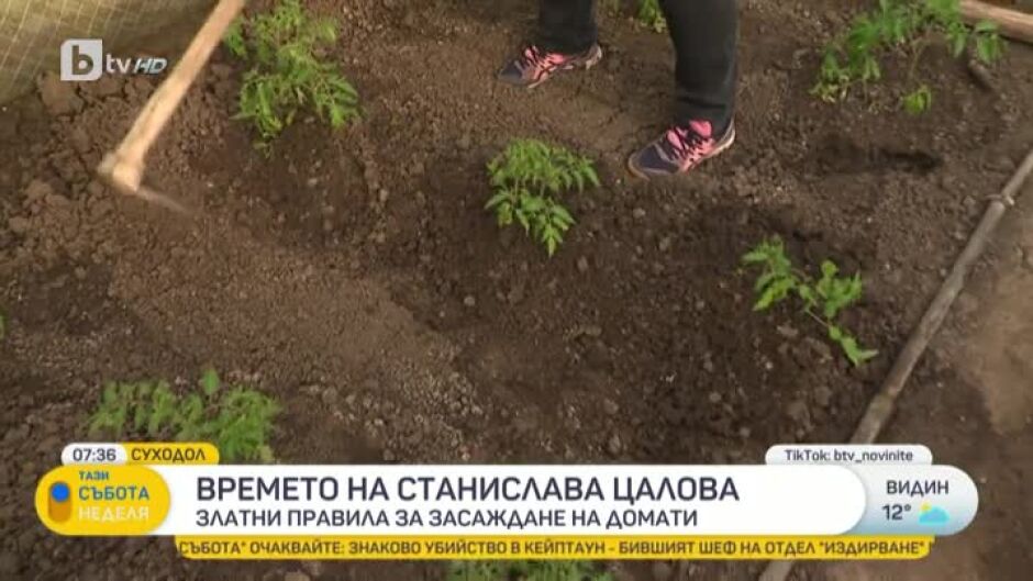 Времето на Стаси Цалова
