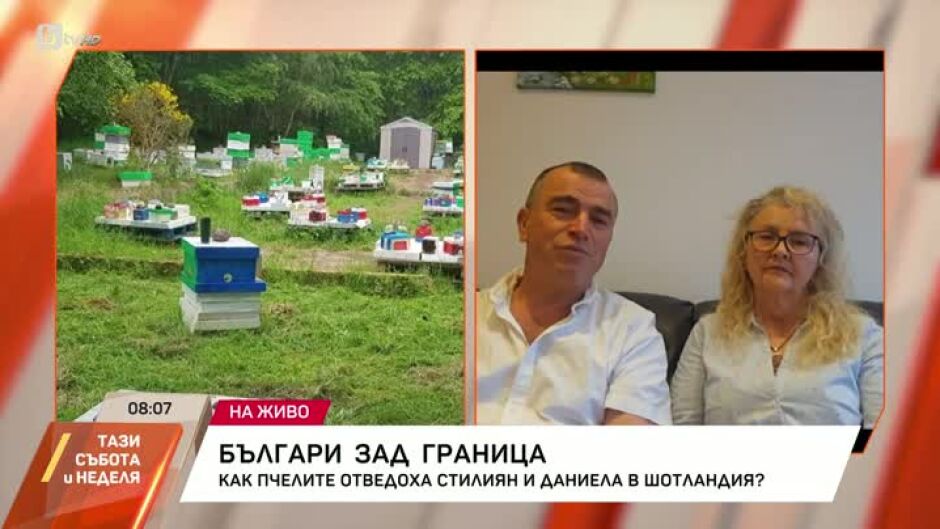 Как пчелите отведоха Стилиян и Даниела в Шотландия?
