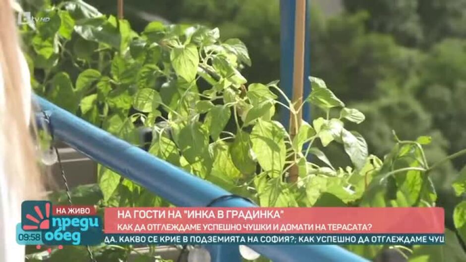 На гости на "Инка в градинка"