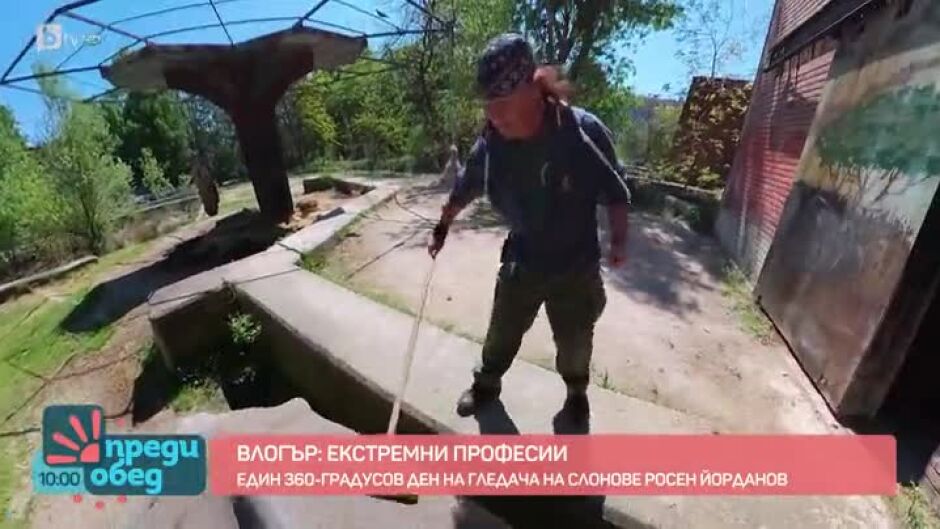 "Влогър - екстремни професии": Един ден с гигантите в столичния зоопарк