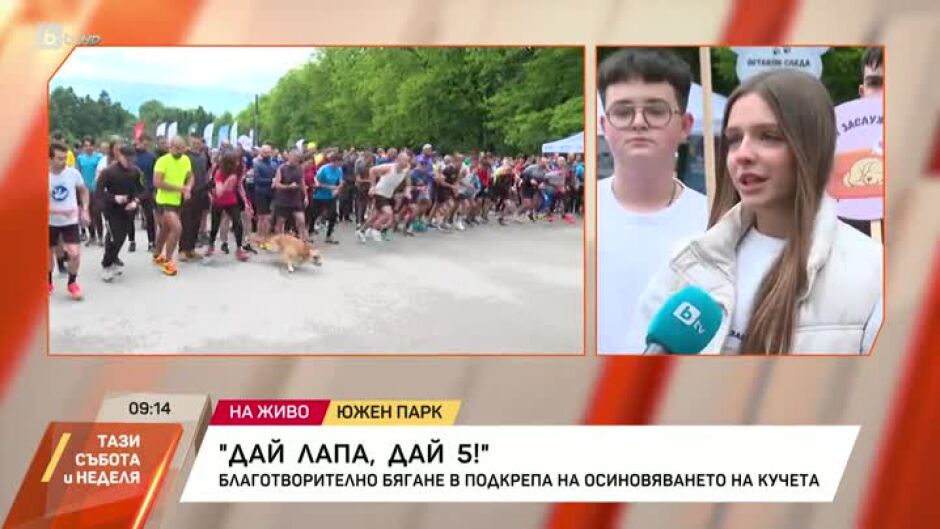 Благотворително бягане в подкрепа на осиновяването на кучета