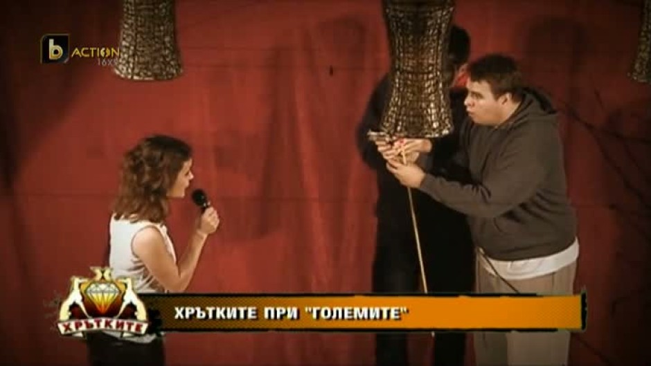 Хрътките при хората: "Големите"