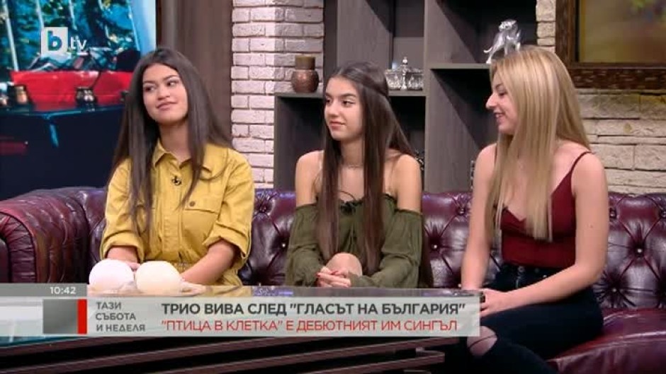 "Птица в клетка" е дебютната песен на трио "Вива"
