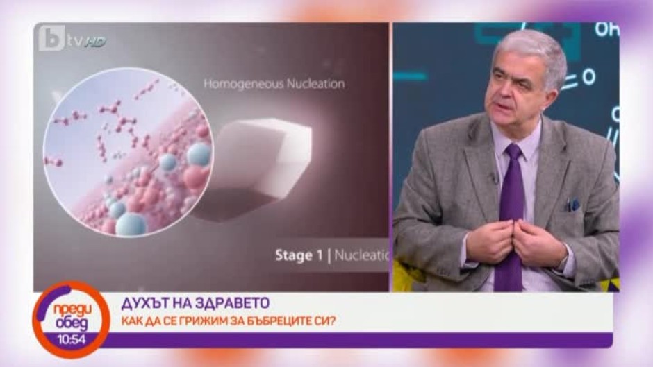 "Духът на здравето": Как да се грижим за бъбреците си?